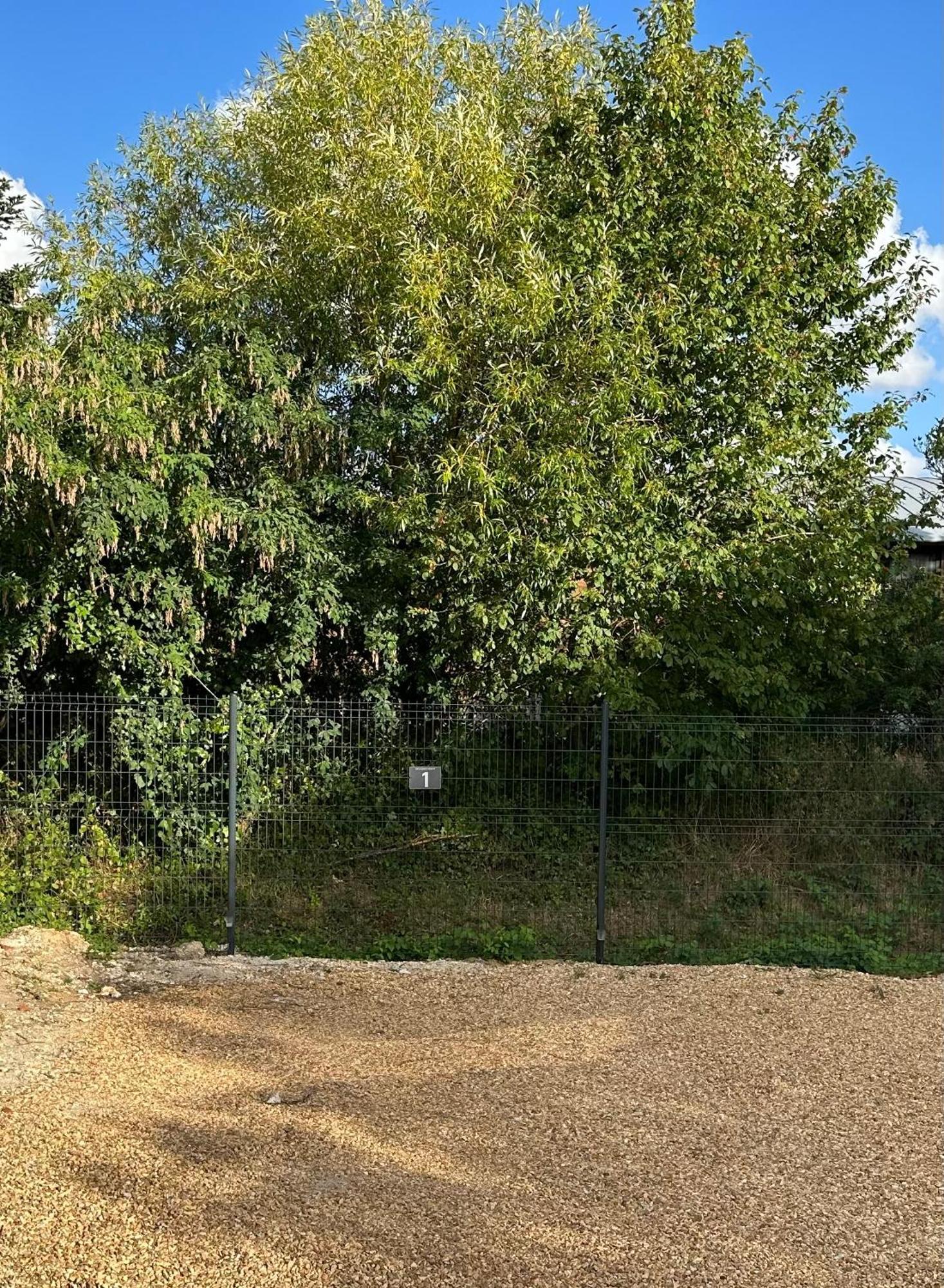 Au Coeur Des Chateaux De La Loire Fondettes エクステリア 写真
